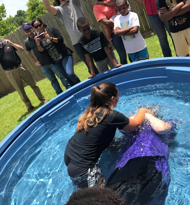 LSU bapt