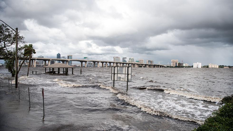 hurricane irma jacksonville
